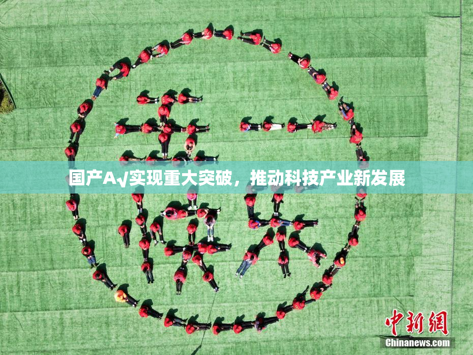 国产A√实现重大突破，推动科技产业新发展