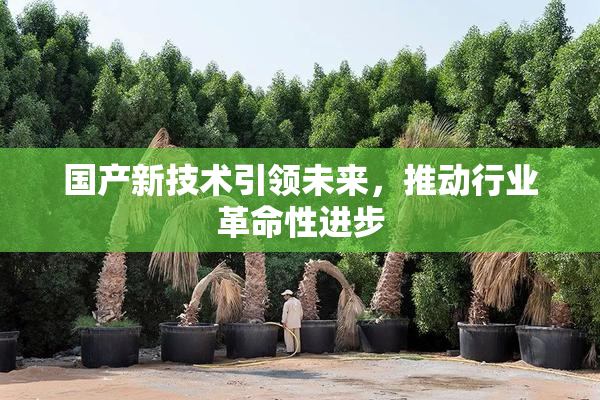 国产新技术引领未来，推动行业革命性进步
