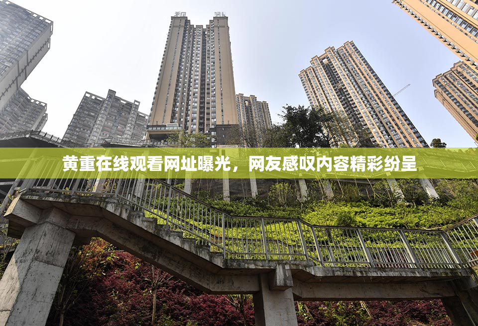 黄重在线观看网址曝光，网友感叹内容精彩纷呈