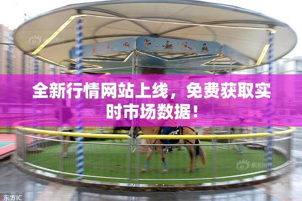 全新行情网站上线，免费获取实时市场数据！