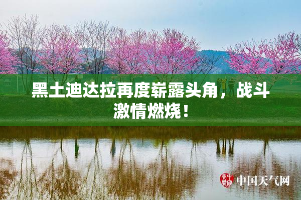 黑土迪达拉再度崭露头角，战斗激情燃烧！