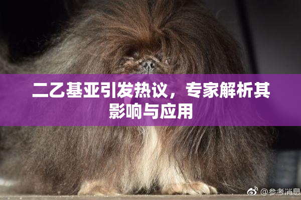 二乙基亚引发热议，专家解析其影响与应用