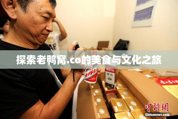探索老鸭窝.co的美食与文化之旅