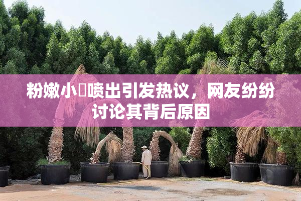 粉嫩小泬喷出引发热议，网友纷纷讨论其背后原因