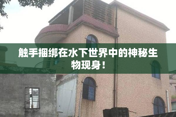 触手捆绑在水下世界中的神秘生物现身！
