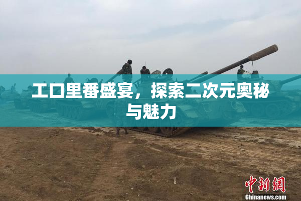 工口里番盛宴，探索二次元奥秘与魅力