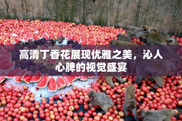 高清丁香花展现优雅之美，沁人心脾的视觉盛宴