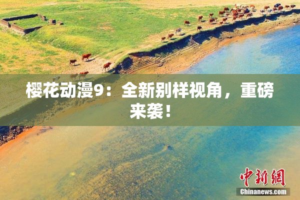 樱花动漫9：全新别样视角，重磅来袭！