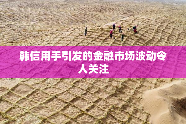 韩信用手引发的金融市场波动令人关注