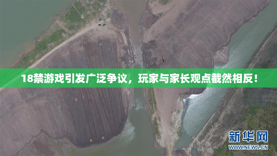 18禁游戏引发广泛争议，玩家与家长观点截然相反！