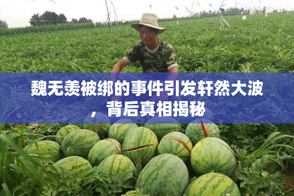 魏无羡被绑的事件引发轩然大波，背后真相揭秘