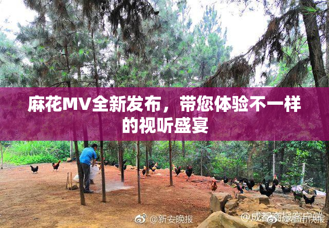 麻花MV全新发布，带您体验不一样的视听盛宴