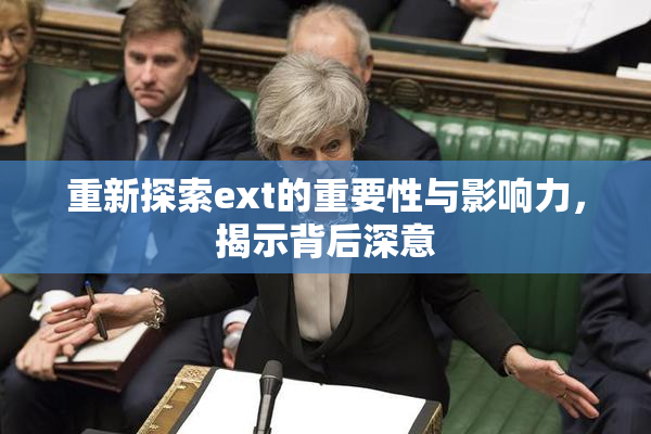重新探索ext的重要性与影响力，揭示背后深意