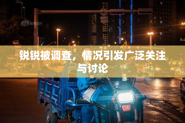 锐锐被调查，情况引发广泛关注与讨论