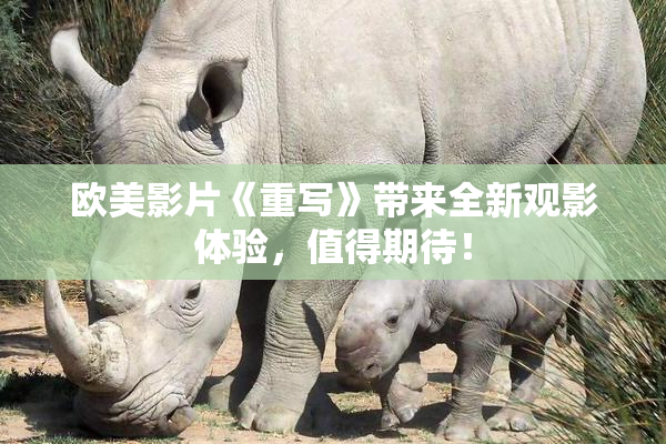 欧美影片《重写》带来全新观影体验，值得期待！