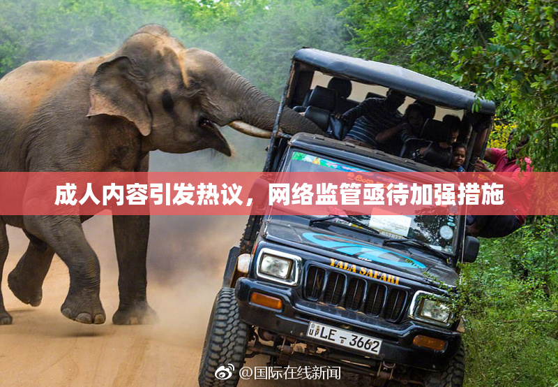 成人内容引发热议，网络监管亟待加强措施