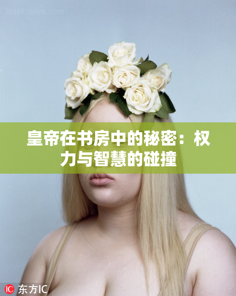 皇帝在书房中的秘密：权力与智慧的碰撞