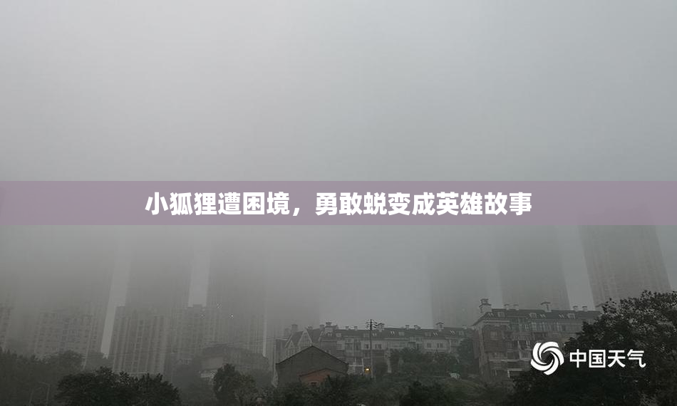 小狐狸遭困境，勇敢蜕变成英雄故事