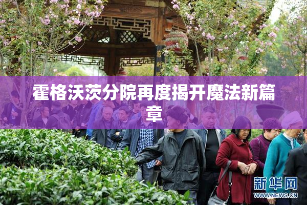 霍格沃茨分院再度揭开魔法新篇章