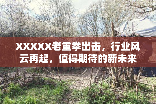 XXXXX老重拳出击，行业风云再起，值得期待的新未来