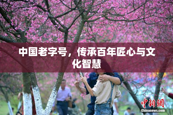 中国老字号，传承百年匠心与文化智慧