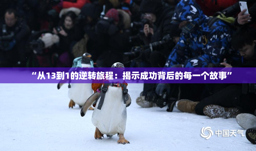 “从13到1的逆转旅程：揭示成功背后的每一个故事”
