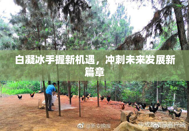 白凝冰手握新机遇，冲刺未来发展新篇章