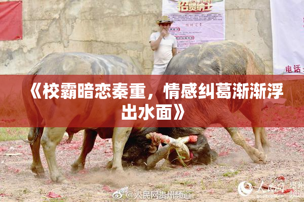《校霸暗恋秦重，情感纠葛渐渐浮出水面》