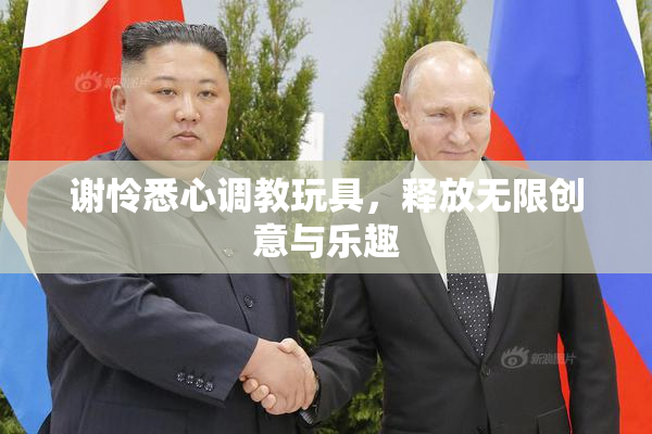 谢怜悉心调教玩具，释放无限创意与乐趣