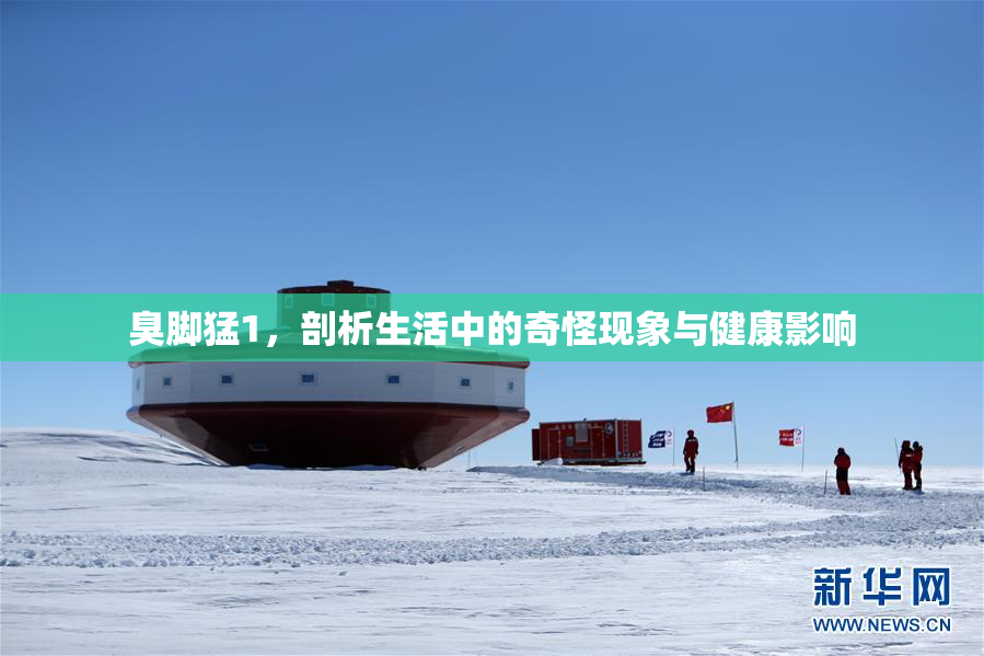 臭脚猛1，剖析生活中的奇怪现象与健康影响