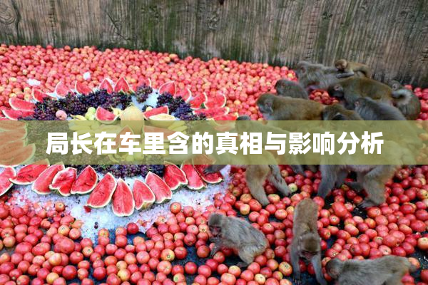局长在车里含的真相与影响分析
