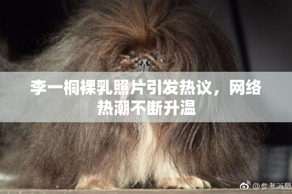 李一桐裸乳照片引发热议，网络热潮不断升温