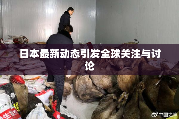 日本最新动态引发全球关注与讨论