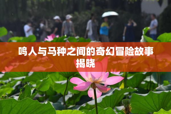 鸣人与马种之间的奇幻冒险故事揭晓