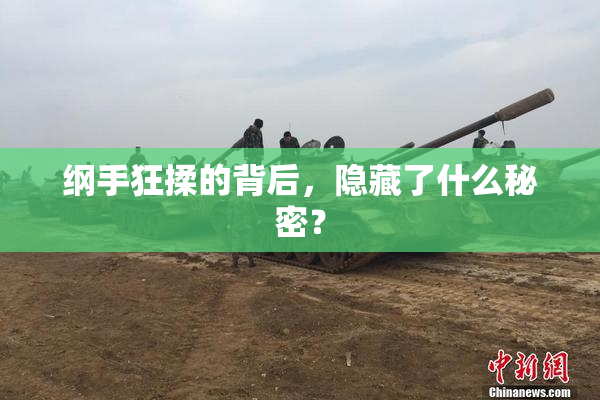 纲手狂揉的背后，隐藏了什么秘密？