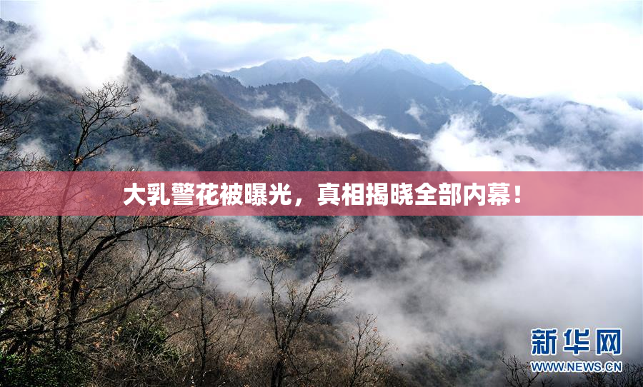 大乳警花被曝光，真相揭晓全部内幕！