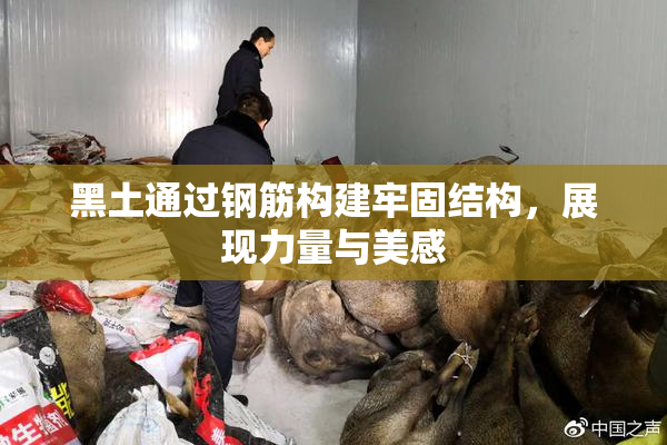 黑土通过钢筋构建牢固结构，展现力量与美感
