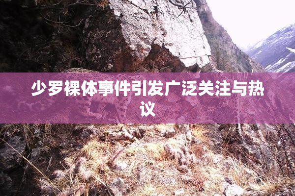 少罗裸体事件引发广泛关注与热议