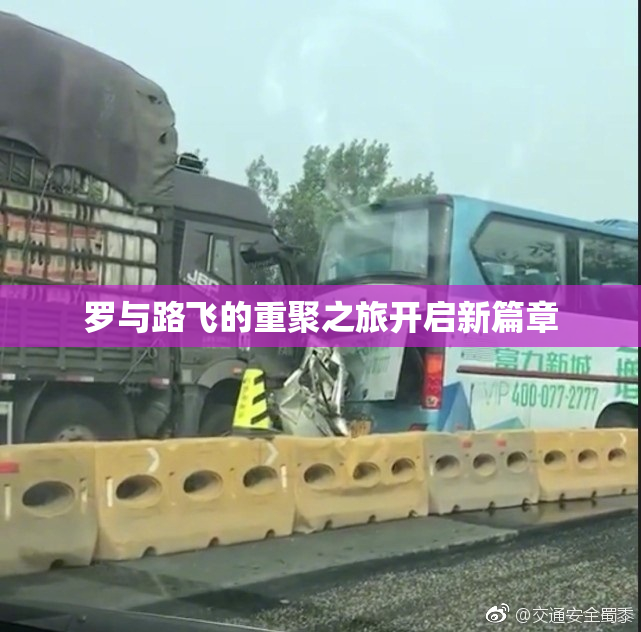 罗与路飞的重聚之旅开启新篇章