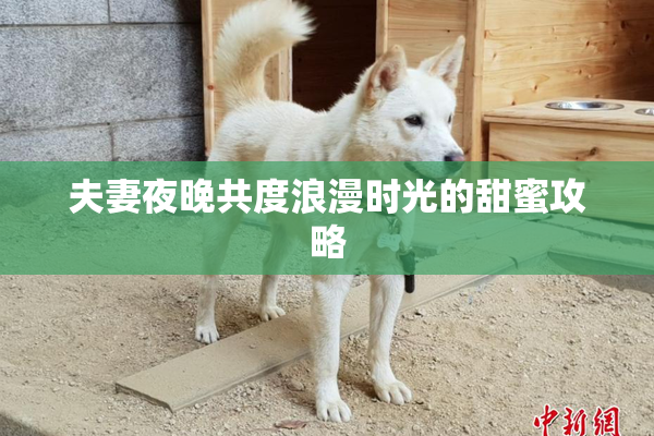 夫妻夜晚共度浪漫时光的甜蜜攻略