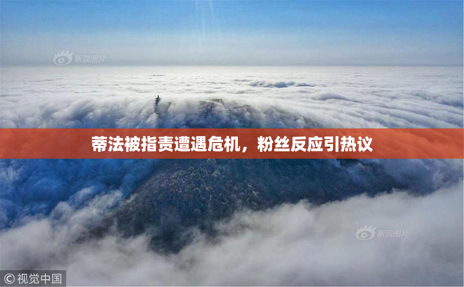 蒂法被指责遭遇危机，粉丝反应引热议