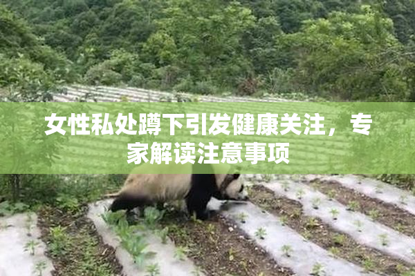 女性私处蹲下引发健康关注，专家解读注意事项
