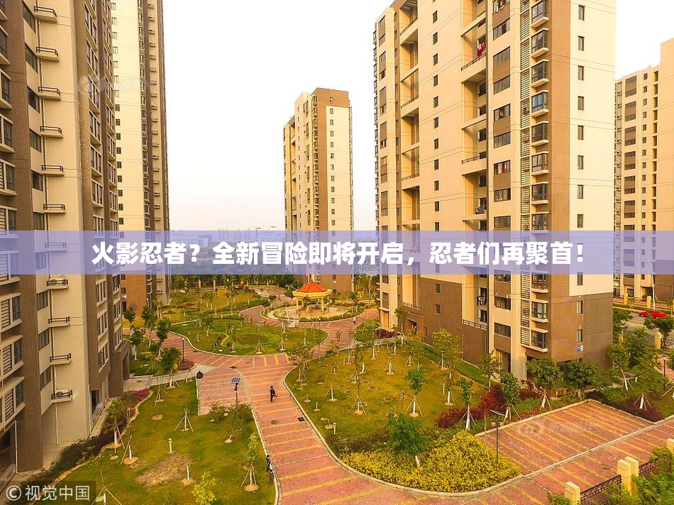 火影忍者？全新冒险即将开启，忍者们再聚首！