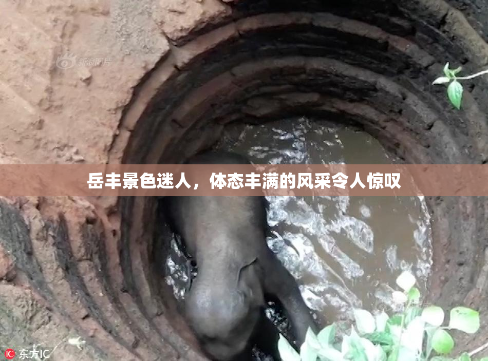 岳丰景色迷人，体态丰满的风采令人惊叹