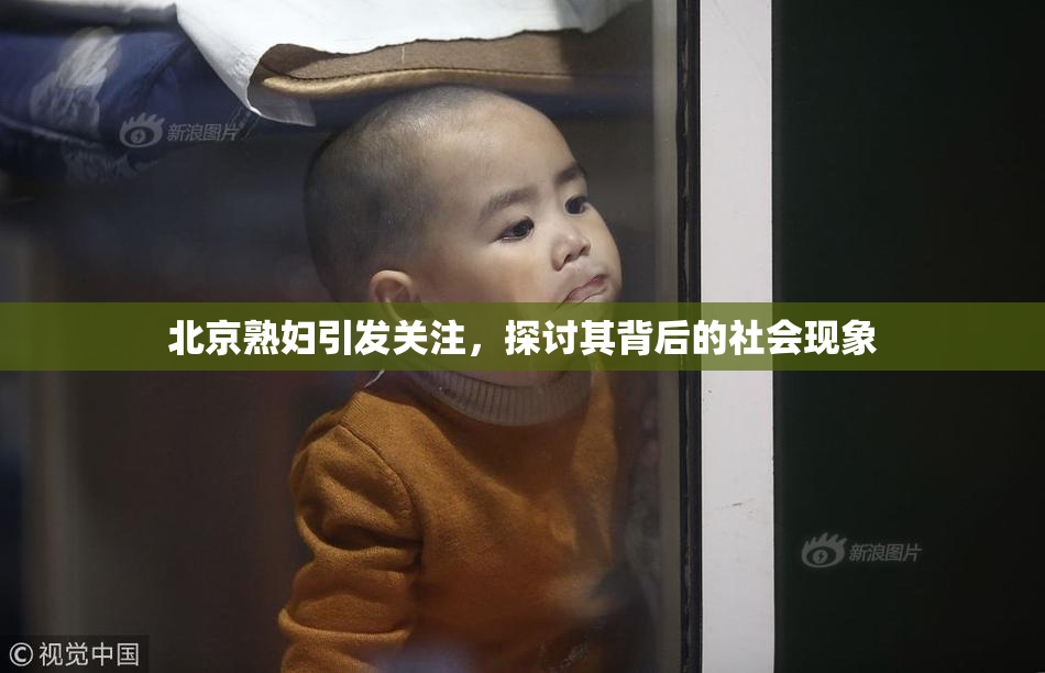 北京熟妇引发关注，探讨其背后的社会现象