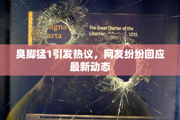 臭脚猛1引发热议，网友纷纷回应最新动态