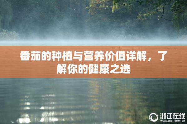 番茄的种植与营养价值详解，了解你的健康之选