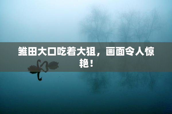 雏田大口吃着大狙，画面令人惊艳！