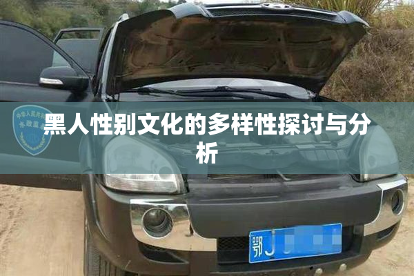 黑人性别文化的多样性探讨与分析