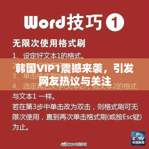 韩国VIP1震撼来袭，引发网友热议与关注
